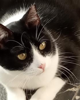Nina Bild von Nina