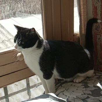 Nina Bild von Nina
