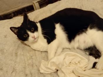 Nina Bild von Nina