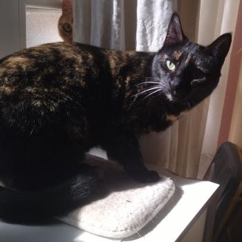 Runa Bild von Runa