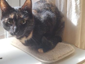 Runa Bild von Runa