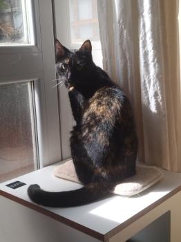 Runa Bild von Runa