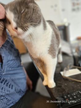 Nelja Bild von Nelja