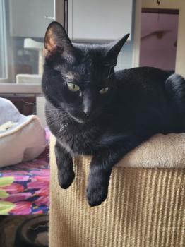 Felisa Bild von Felisa