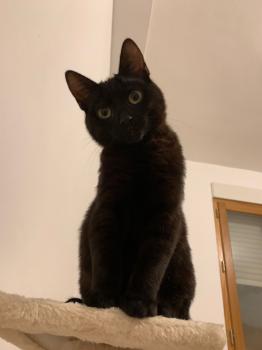 Oliver Bild von Oliver