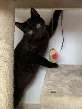 Oliver Bild von Oliver