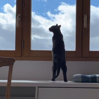 Oliver Bild von Oliver