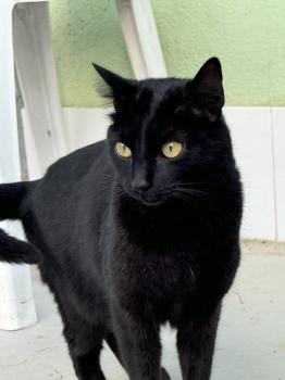 Bonnie Bild von Bonnie