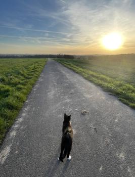 Dop Bild von Dop