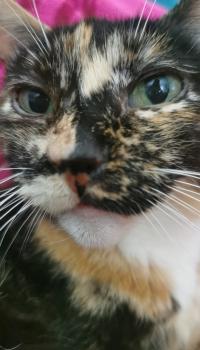 Bild von Jana