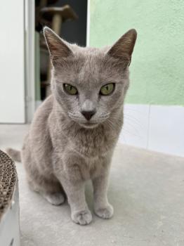 Tess Bild von Tess