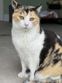 Rosalba Bild von Rosalba