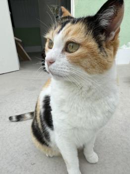Rosalba Bild von Rosalba