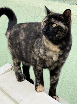 Dora Bild von Dora