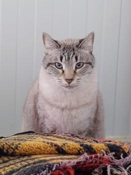 Clyde Bild von Clyde