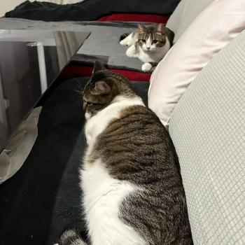Bufi Bild von Bufi