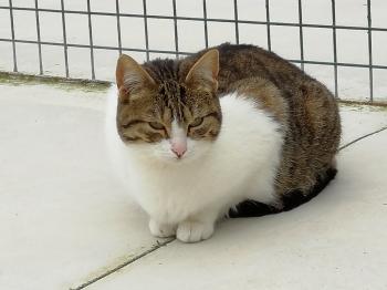 Canita Bild von Canita