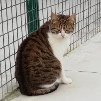 Canita Bild von Canita