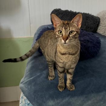 Bild von Telma