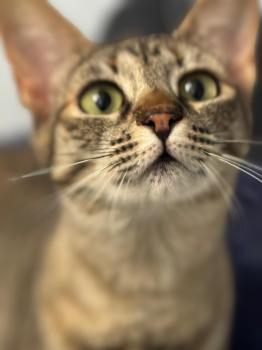 Bild von Telma