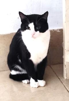 Felix Bild von Felix