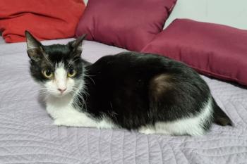 Conny Bild von Conny