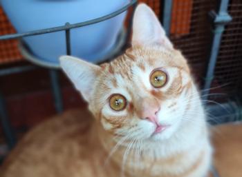 Lalo Bild von Lalo