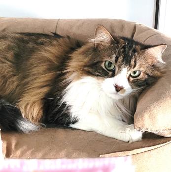Aslaug Bild von Aslaug