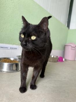 Nahla Bild von Nahla