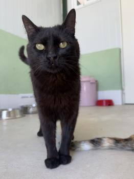 Nahla Bild von Nahla