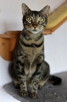 Lazlo Bild von Lazlo