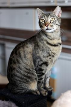 Lazlo Bild von Lazlo