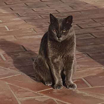 Bas Bild von Bas