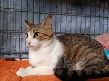 Bubu Bild von Bubu
