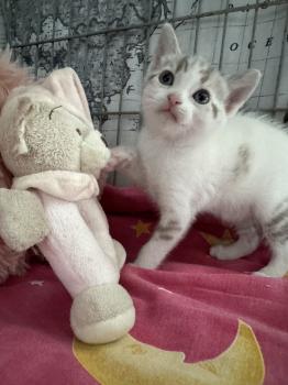 Olivia Bild von Olivia