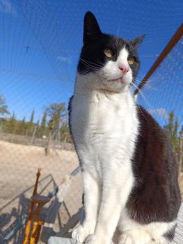 Felix Bild von Felix