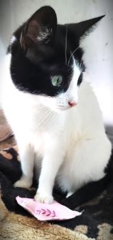 Amy Bild von Amy