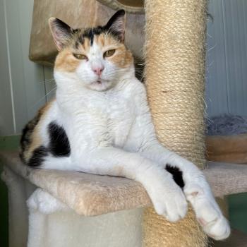 Rosalba Bild von Rosalba