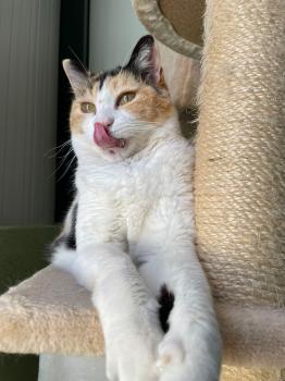 Rosalba Bild von Rosalba