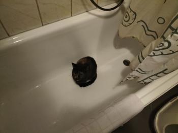 Bild von Geraldina