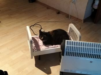 Bild von Geraldina