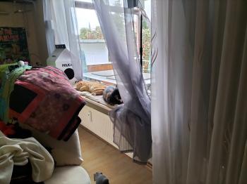 Bild von Geraldina