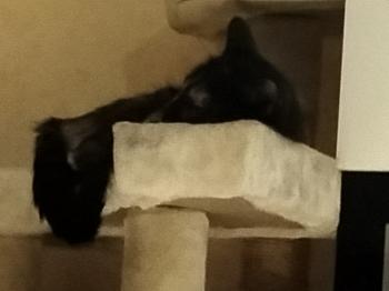 Bild von Geraldina
