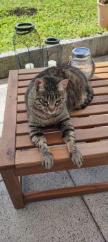 Cyntia Bild von Cyntia