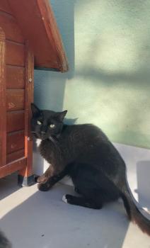 Willie Bild von Willie