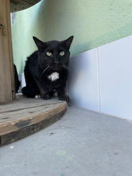 Willie Bild von Willie