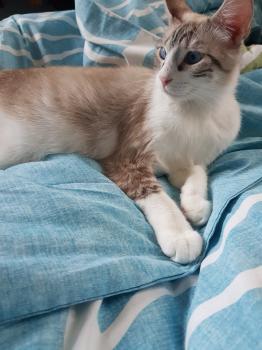 Coco Bild von Coco
