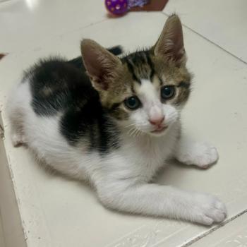 Oliver Bild von Oliver