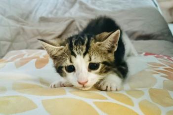 Oliver Bild von Oliver