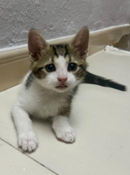 Oliver Bild von Oliver